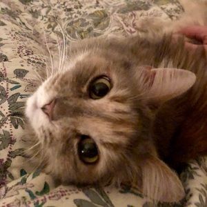 Meet your Posher, Shelly